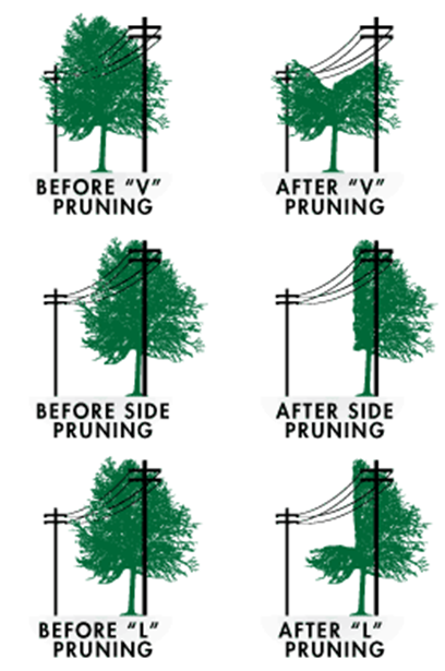 Tree Trimming Diagram