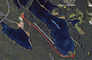 Ashley Reservoir Temporary Maintenance Notice